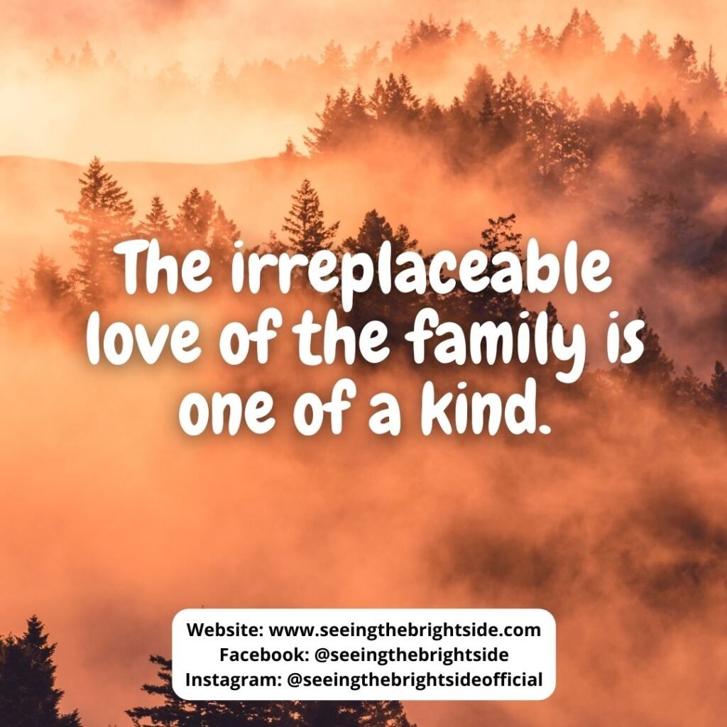 Love Quote about Family