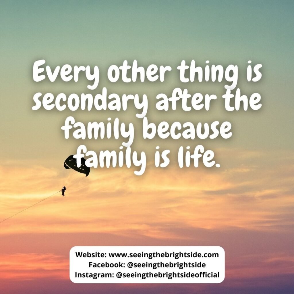 Family is love quote