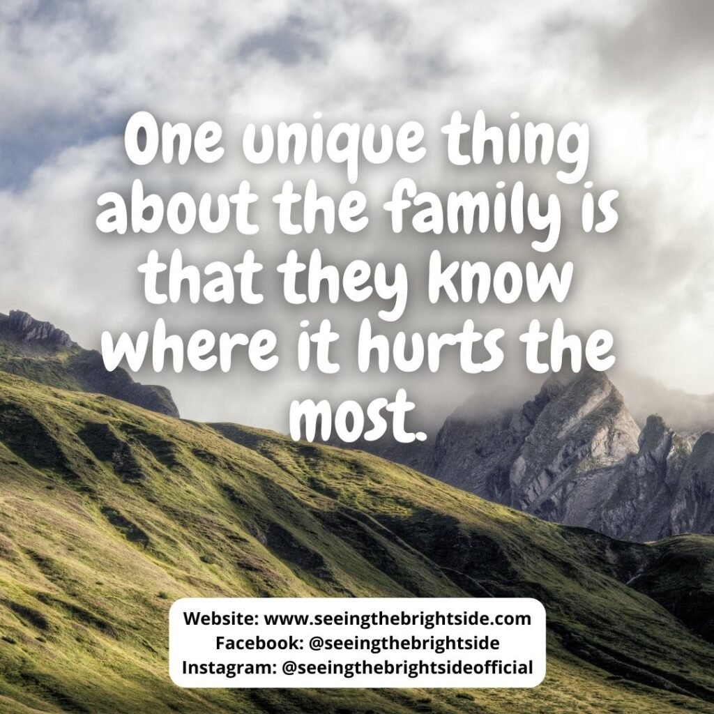 Family is love quote