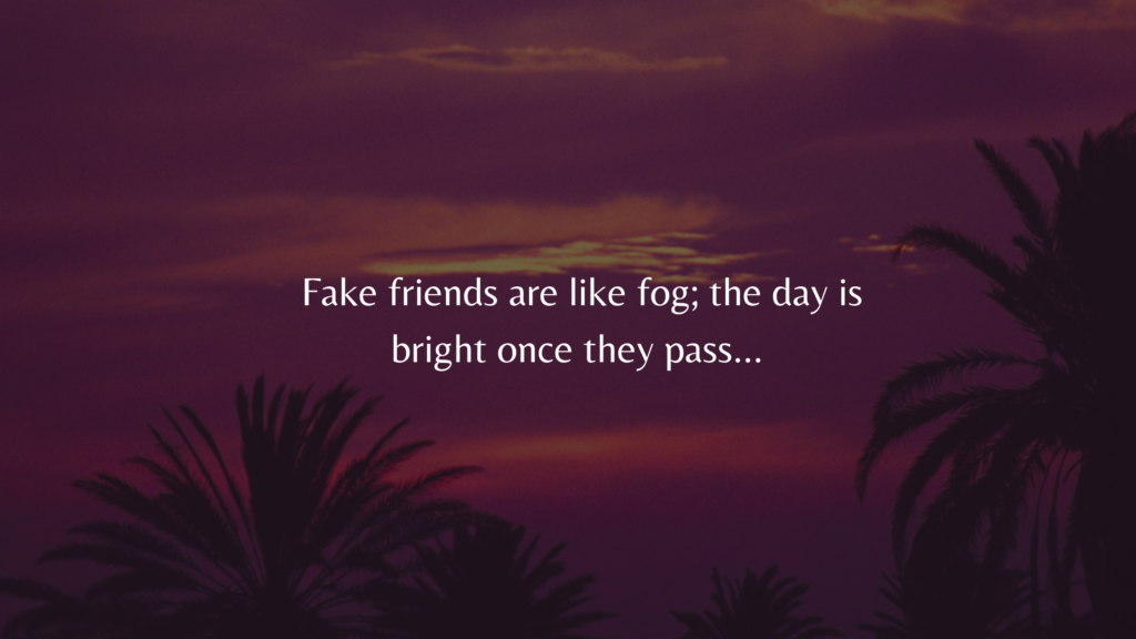 Quotes about Fake Friends