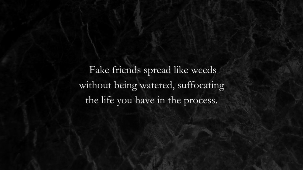Quotes about Fake Friends